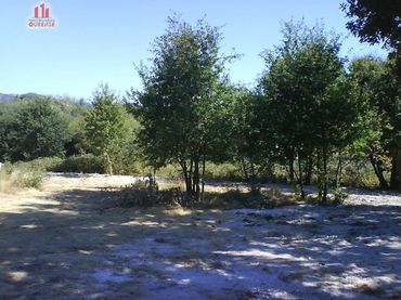 Terreni e lotti in vendita a Nogueira de Ramuín