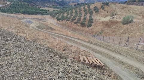 Foto 3 de Terreno en venta en Alquería - Torrealquería, Málaga