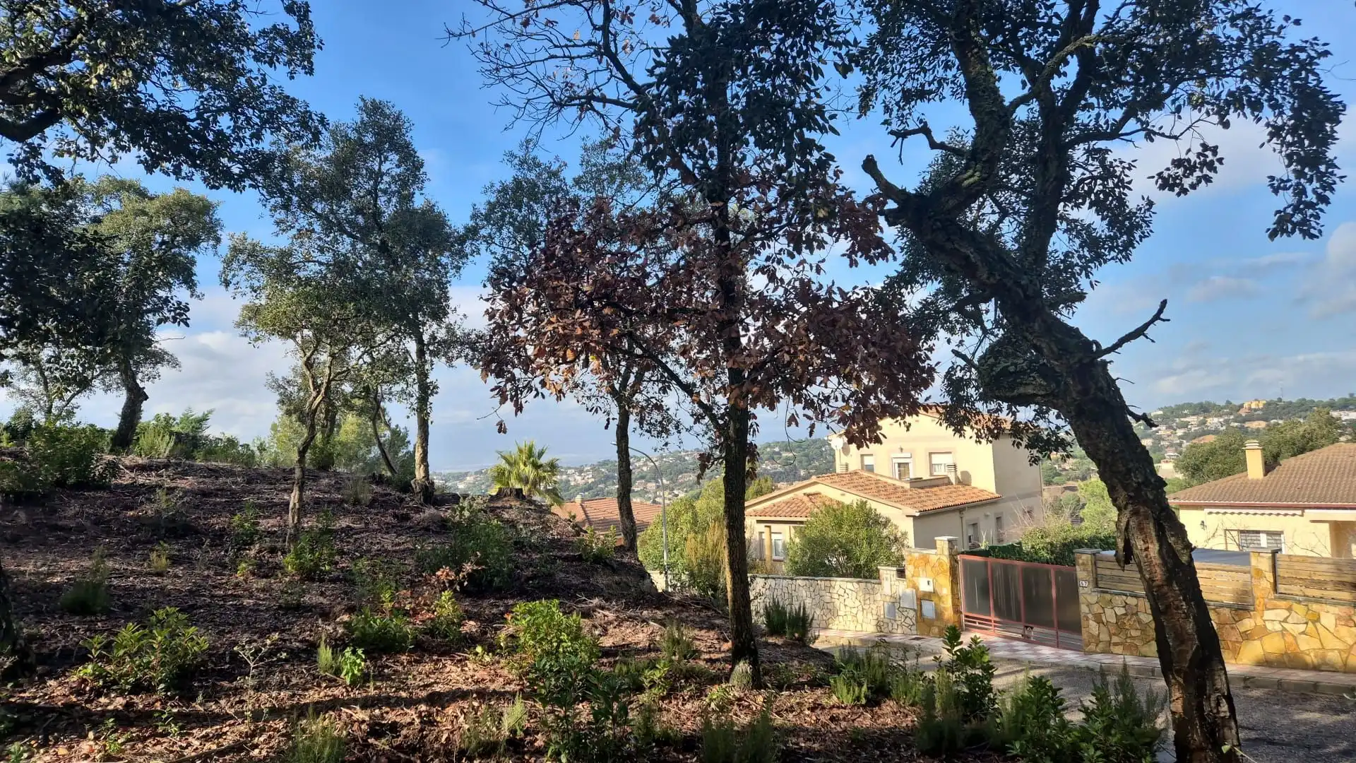 Terrenos y solares en venta en Lloret Residencial - Montlloret, imagen 3