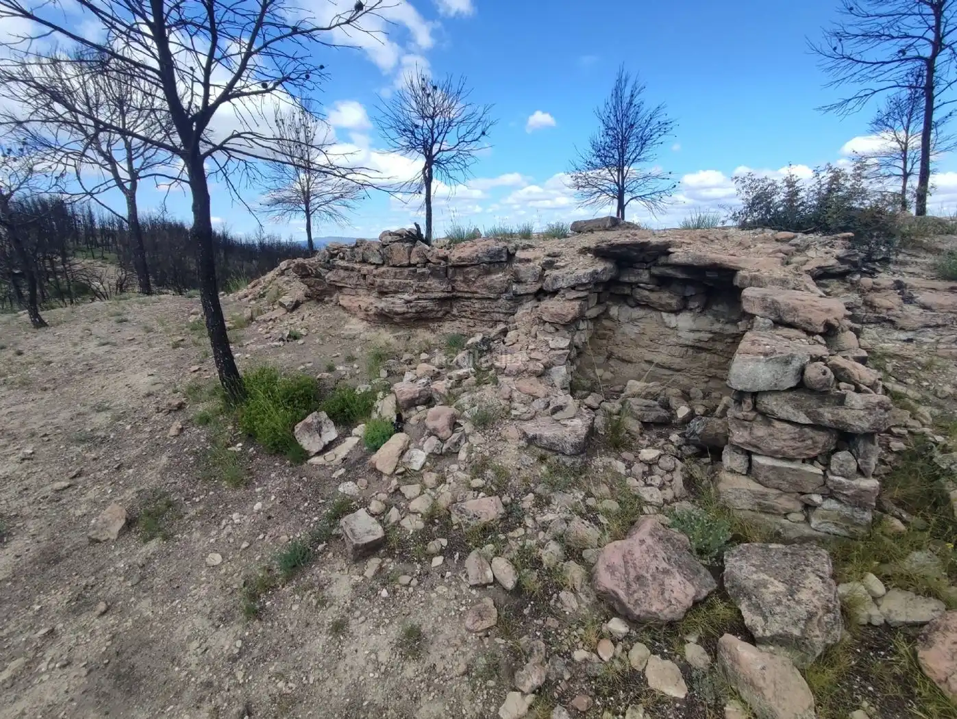 Wohnbaugrundstück zum Verkauf in Carrer Isard 23C, imagen 8