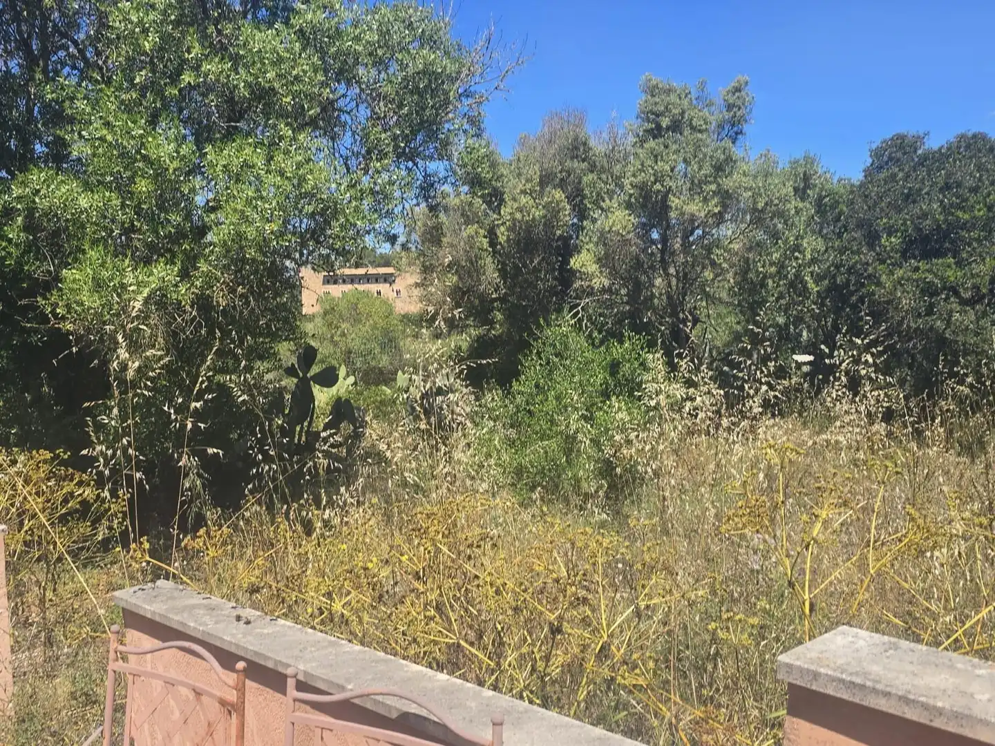 Finca rústica en venta en Marratxí con Terraza