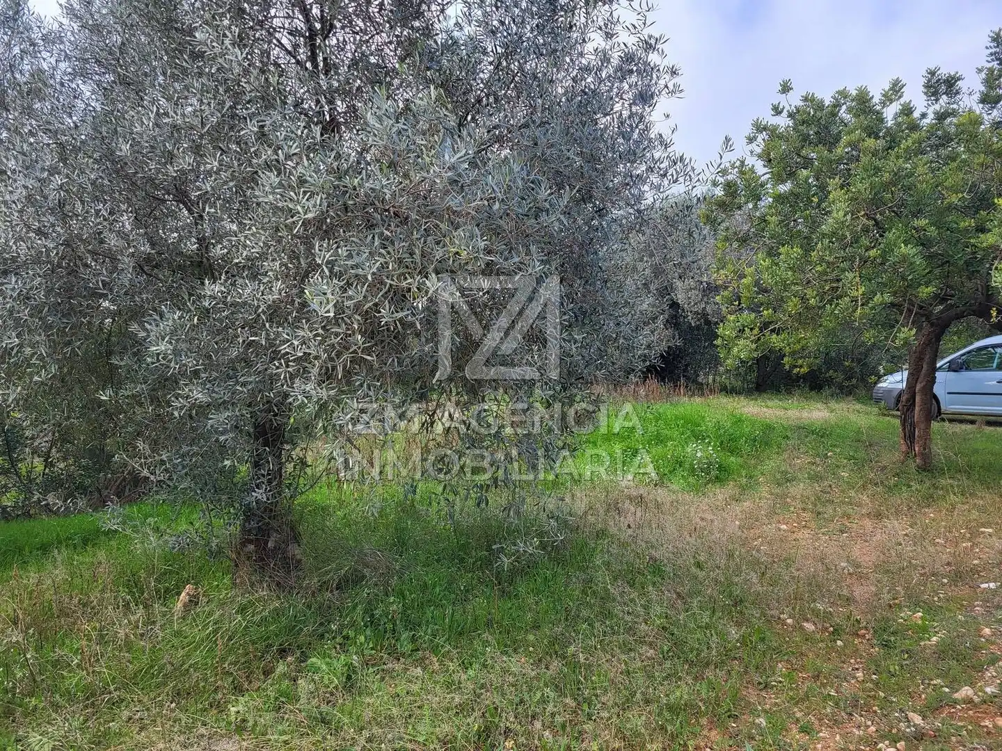 Terreno rustico in vendita a Cabanes, imagen 4