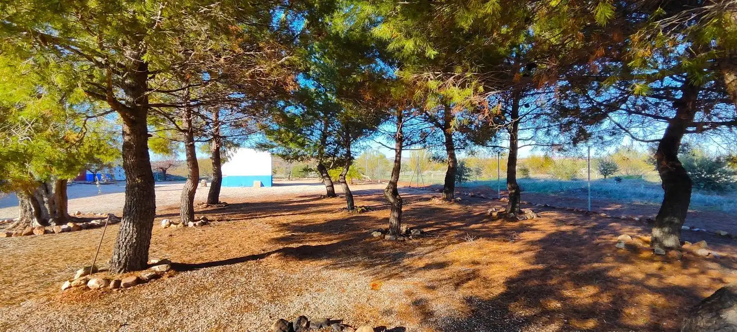 Casa o chalet en venta en La Solana   con Jardín privado, Terraza y Trastero
