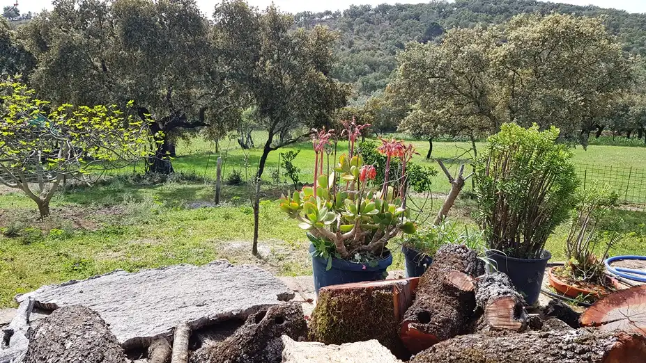 Terrenos y solares en venta en Extramuros Diseminados 5, imagen 5