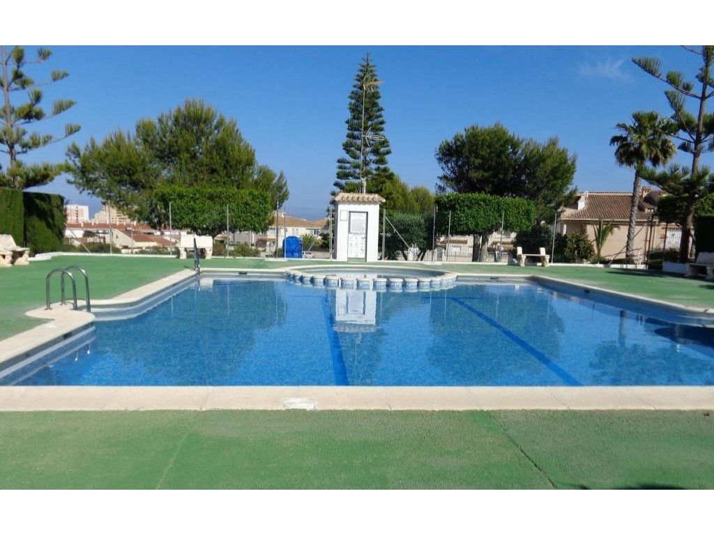 Piscina de Casa o xalet en venda en Torrevieja amb Aire condicionat, Jardí privat i Moblat