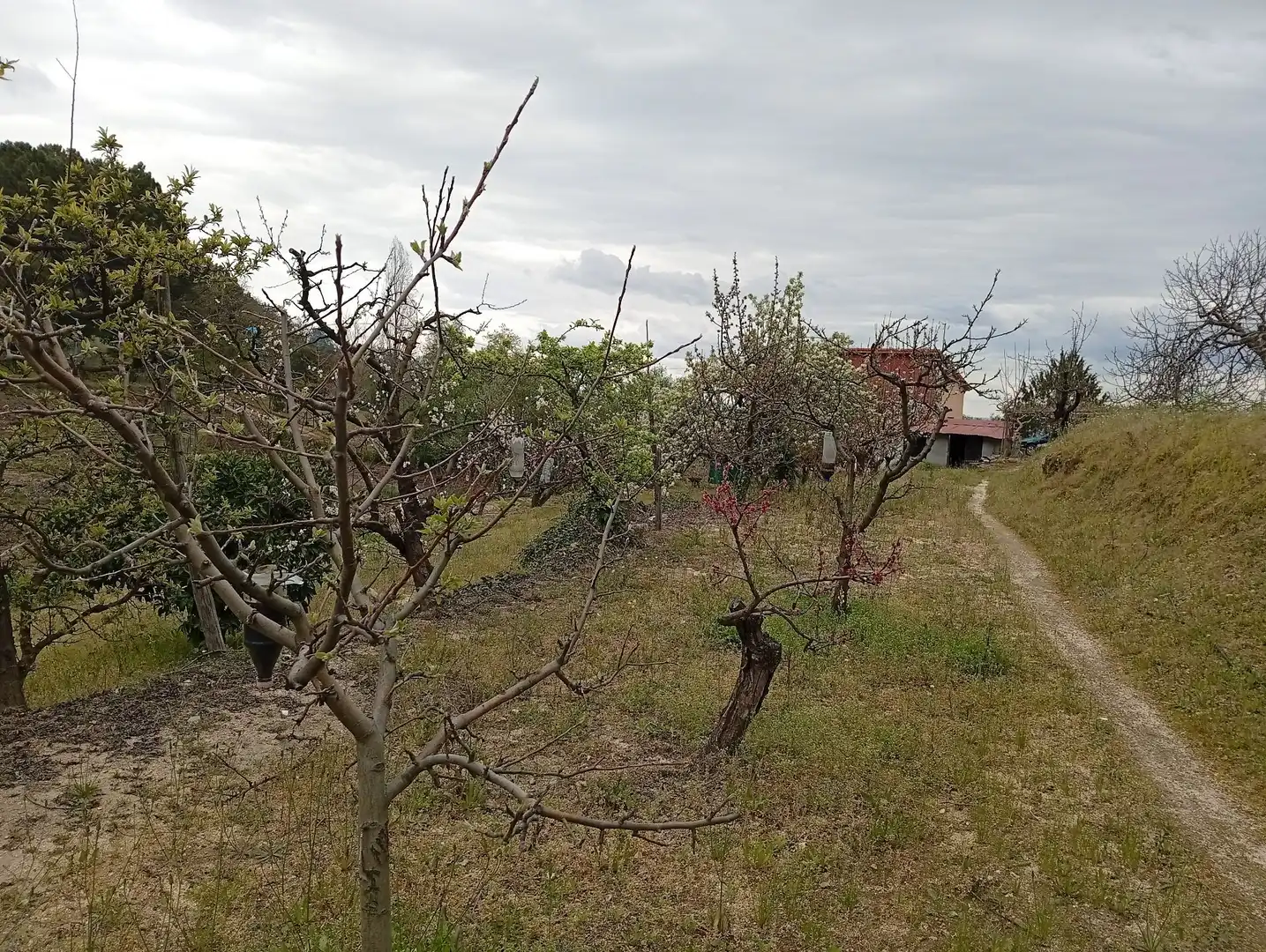 Terreni e lotti in vendita a Villanueva de la Vera, imagen 56