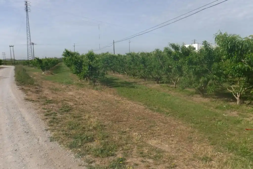 Rustikales Grundstück zum Verkauf in C/ Pla de Lleida, imagen 7