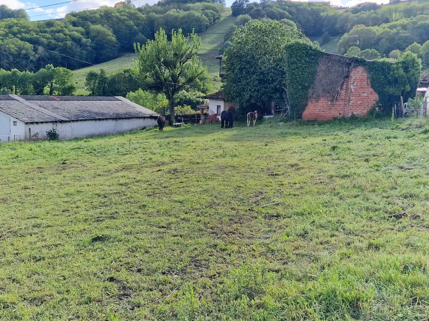 Finca rústica en venta en Tineo con Balcón y Piscina comunitaria