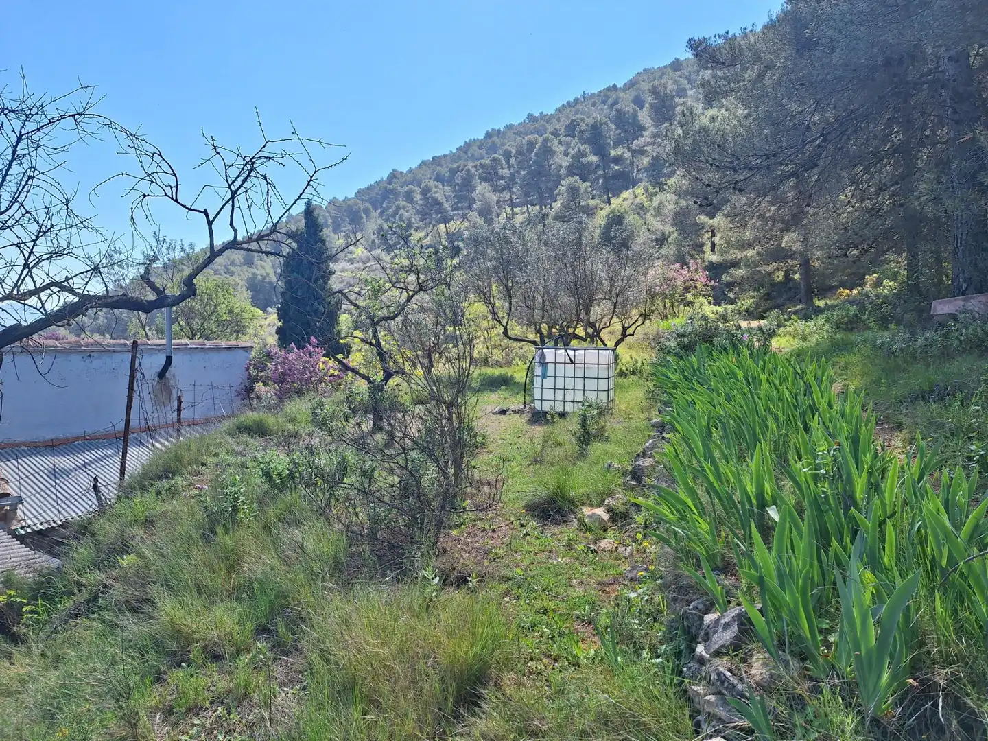 Finca rústica en venda en Alcoy / Alcoi amb Traster i Moblat