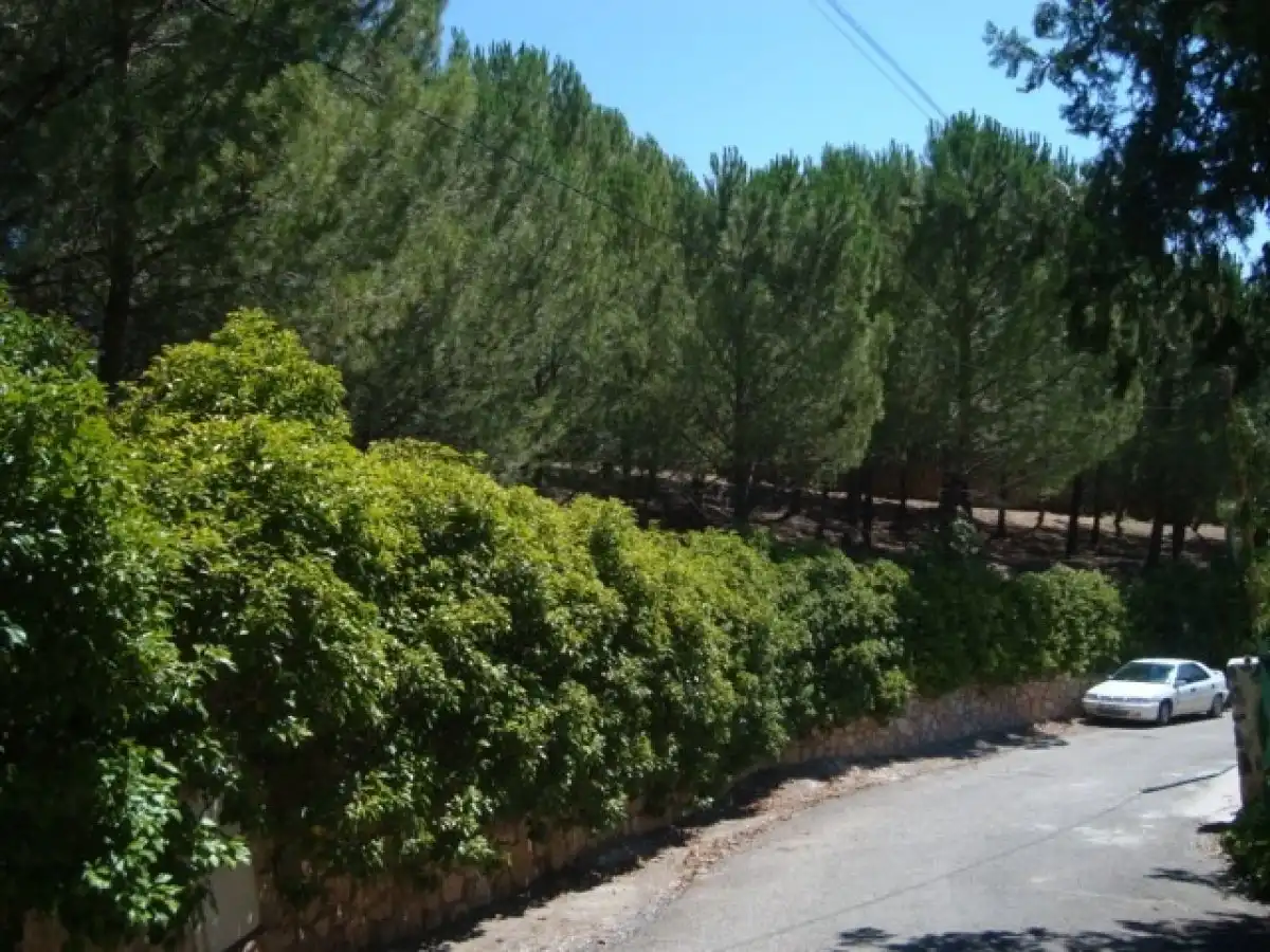 Residential for sale in Loranca de Tajuña