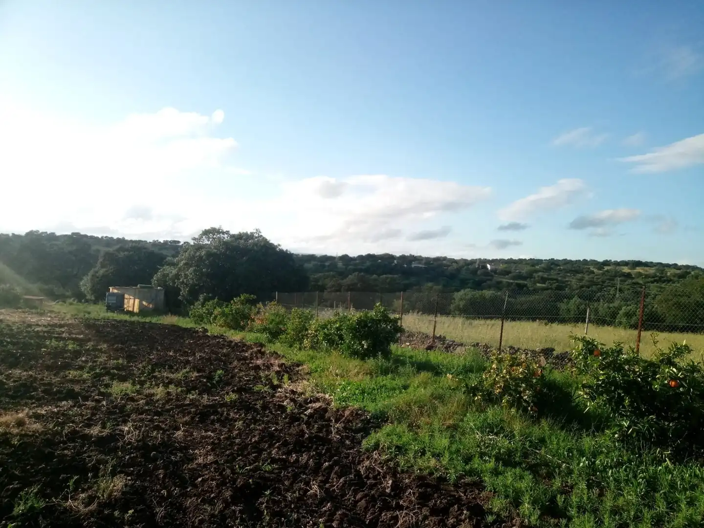 Terreni e lotti in vendita a Castilblanco de los Arroyos, imagen 4