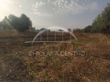 Terreno rustico in vendita a Las Lagunas - Campano