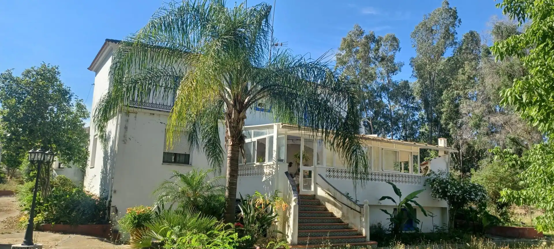 Vista exterior de Casa o chalet en venta en Castilblanco de los Arroyos con Aire acondicionado, Jardín privado y Terraza