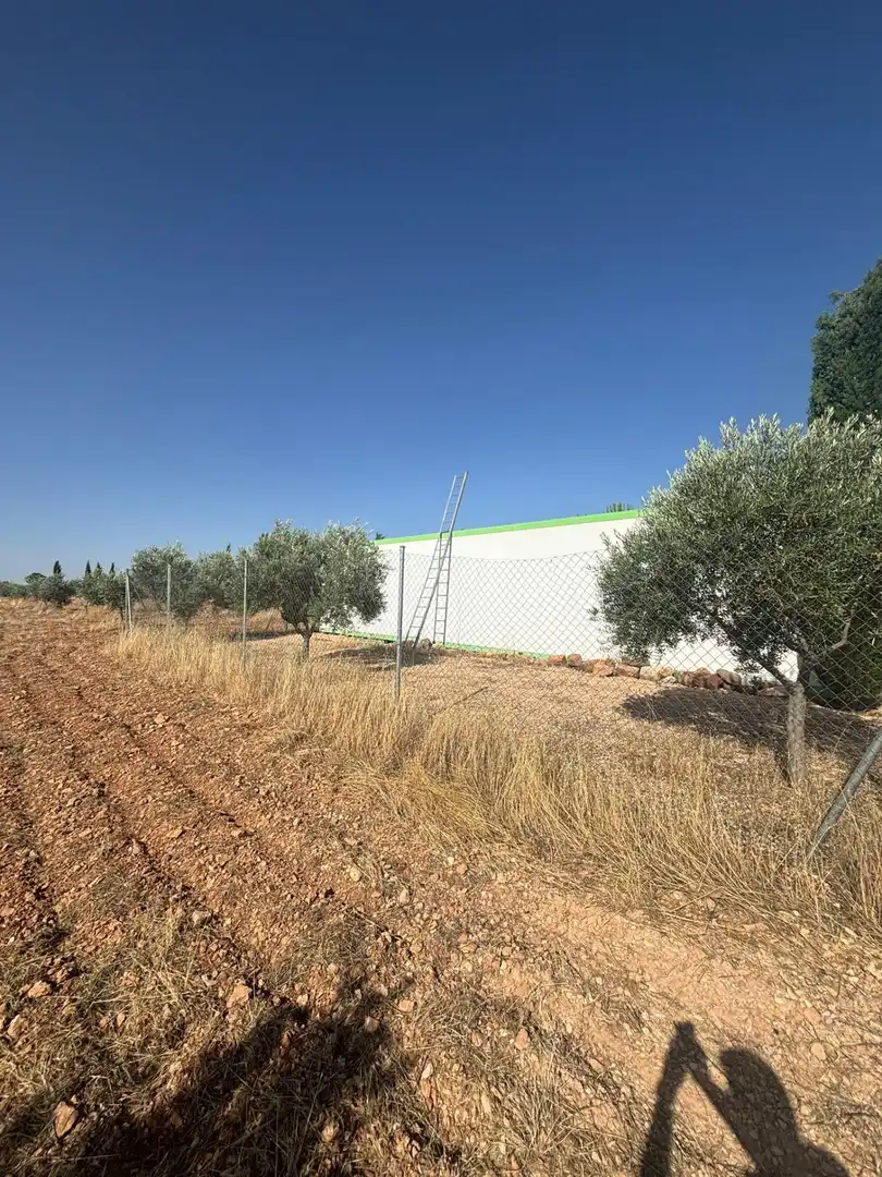 Rural land for sale in Valdepeñas, imagen 19