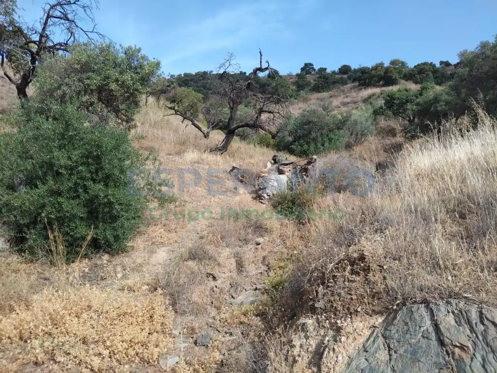 Terreno residencial en venta en Este, imagen 14