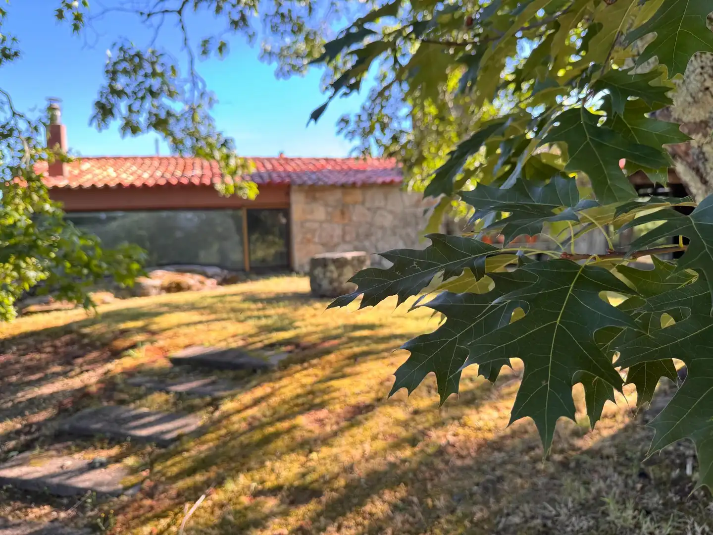 Vista exterior de Casa o chalet en venta en Pontevedra Capital  con Calefacción, Jardín privado y Terraza