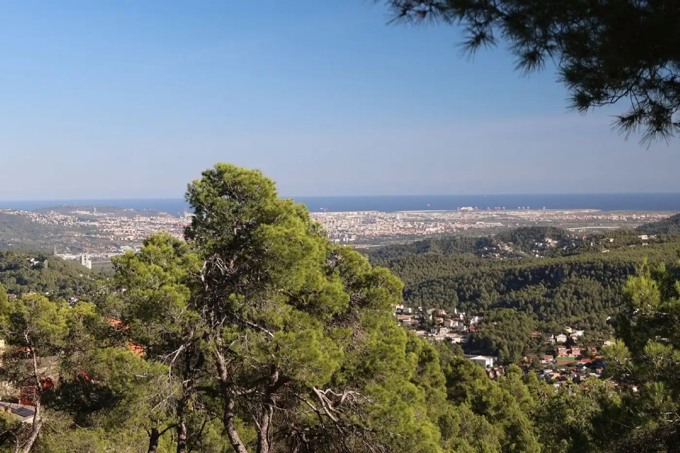 Terreno residencial en venta en Carrer de l'Alzina 79, imagen 6