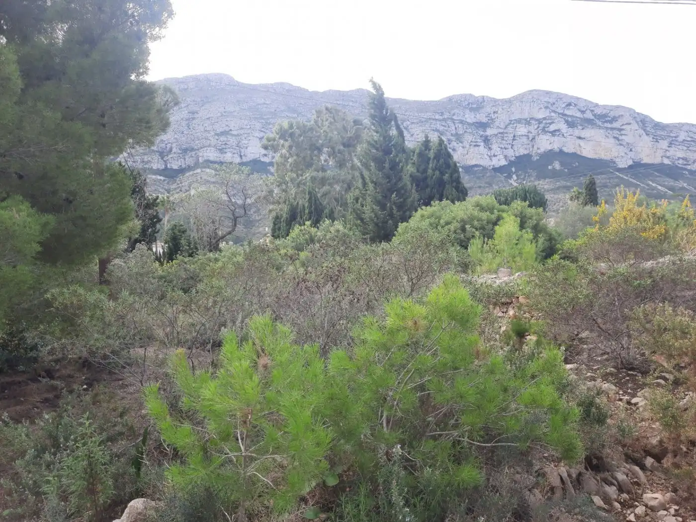 Terreni e lotti in vendita a El Montgó