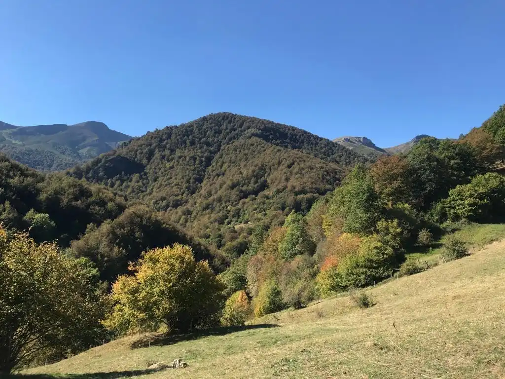 Terreni e lotti in vendita a Vega de Liébana, imagen 13