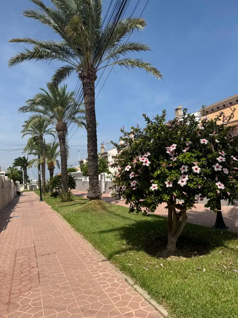 Vista exterior de Casa o xalet en venda en Santa Pola amb Aire condicionat, Calefacció i Jardí privat