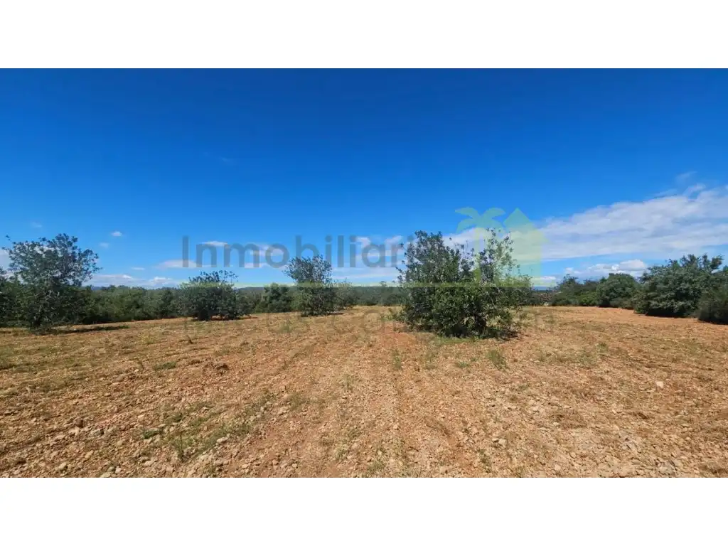 Terreny residencial en venda a Càlig, imagen 10