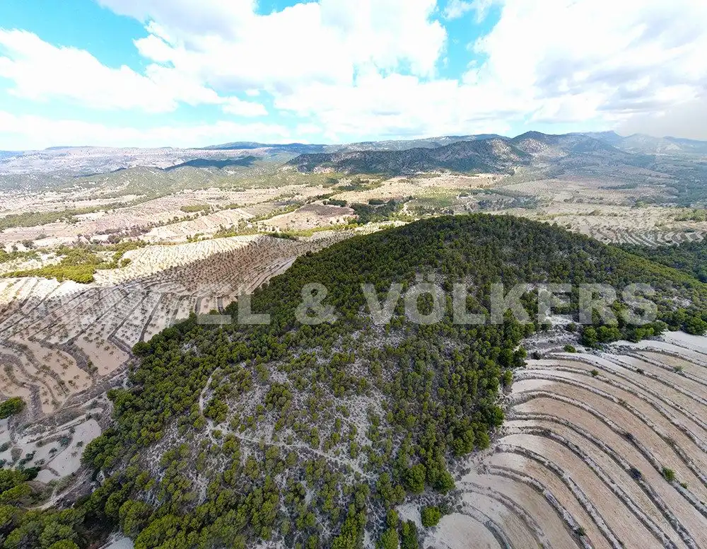 Finca rústica en venta en Jijona / Xixona