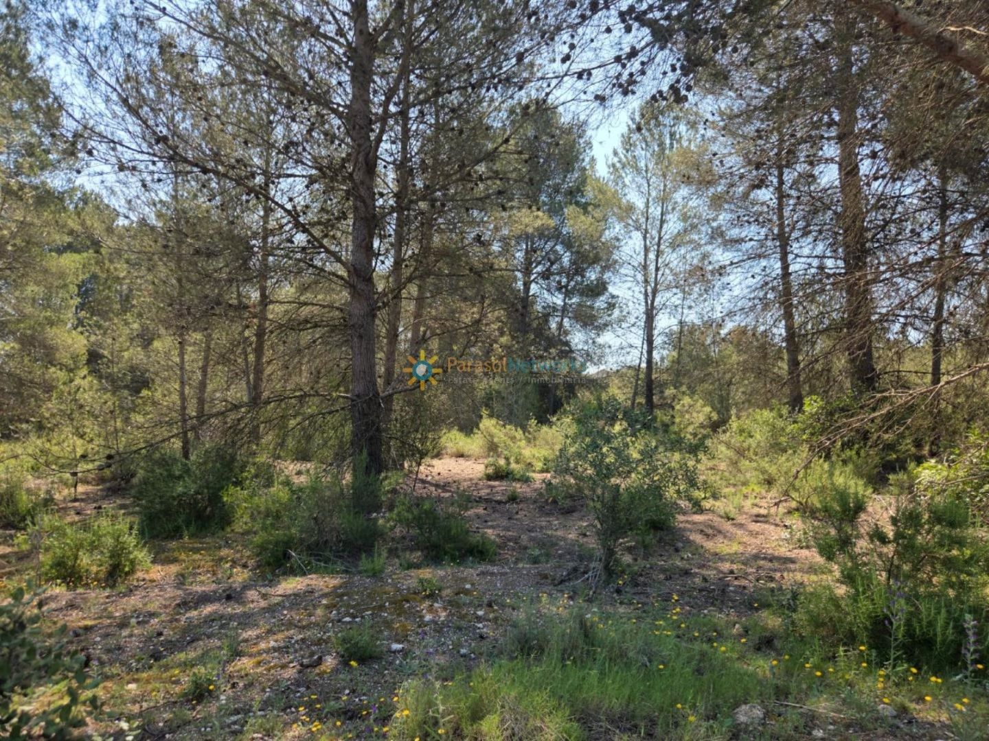 Terreno en venta en Bellús