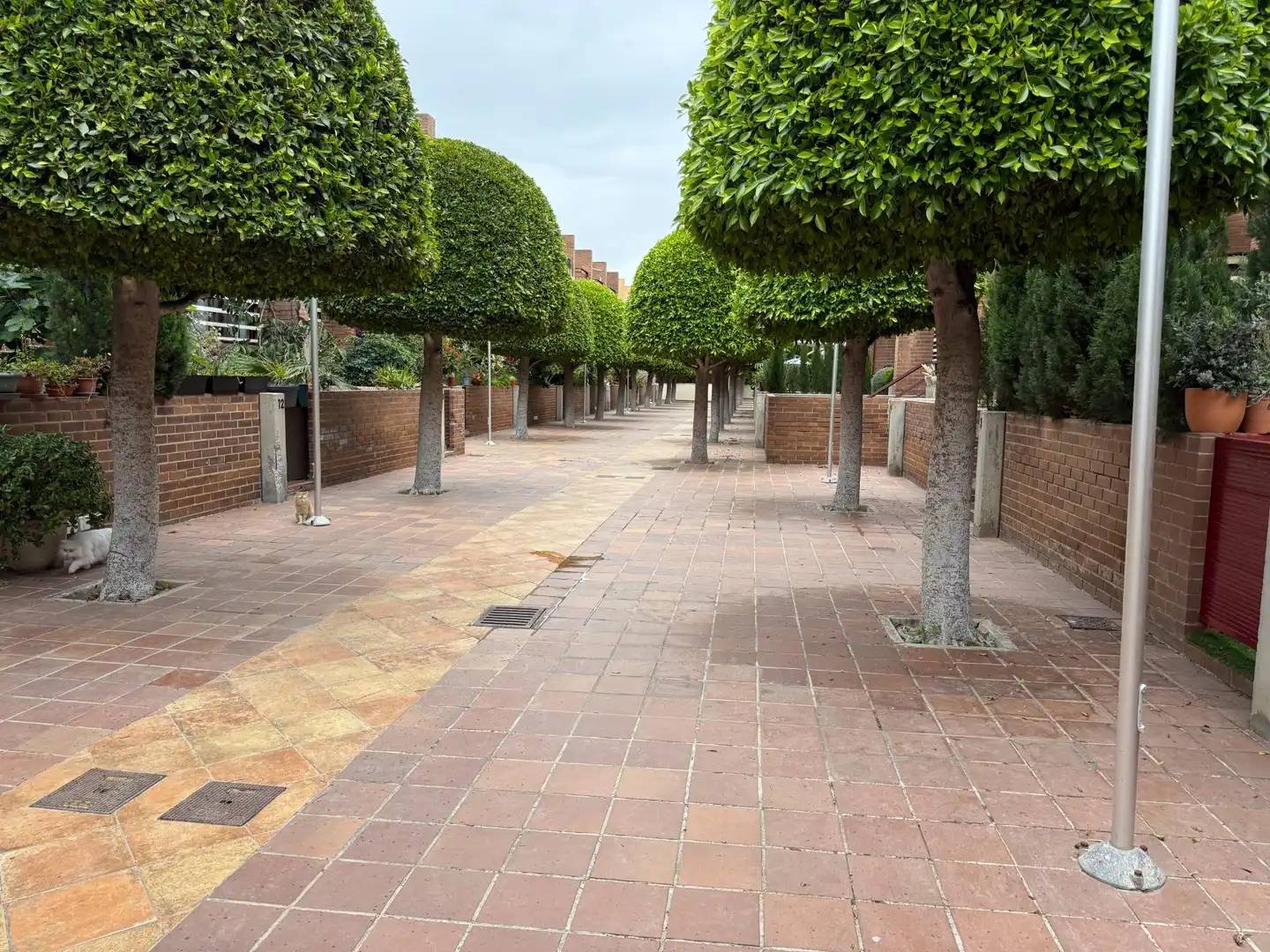 Vista exterior de Casa adosada en venta en Sant Joan d'Alacant con Jardín privado y Piscina comunitaria