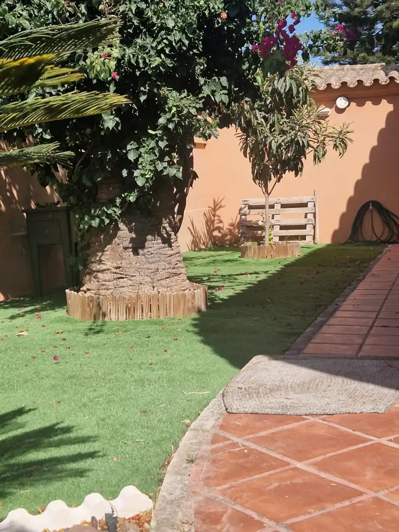 Xalet amb jardí en venda a El Juncal - Vallealto, imagen 10