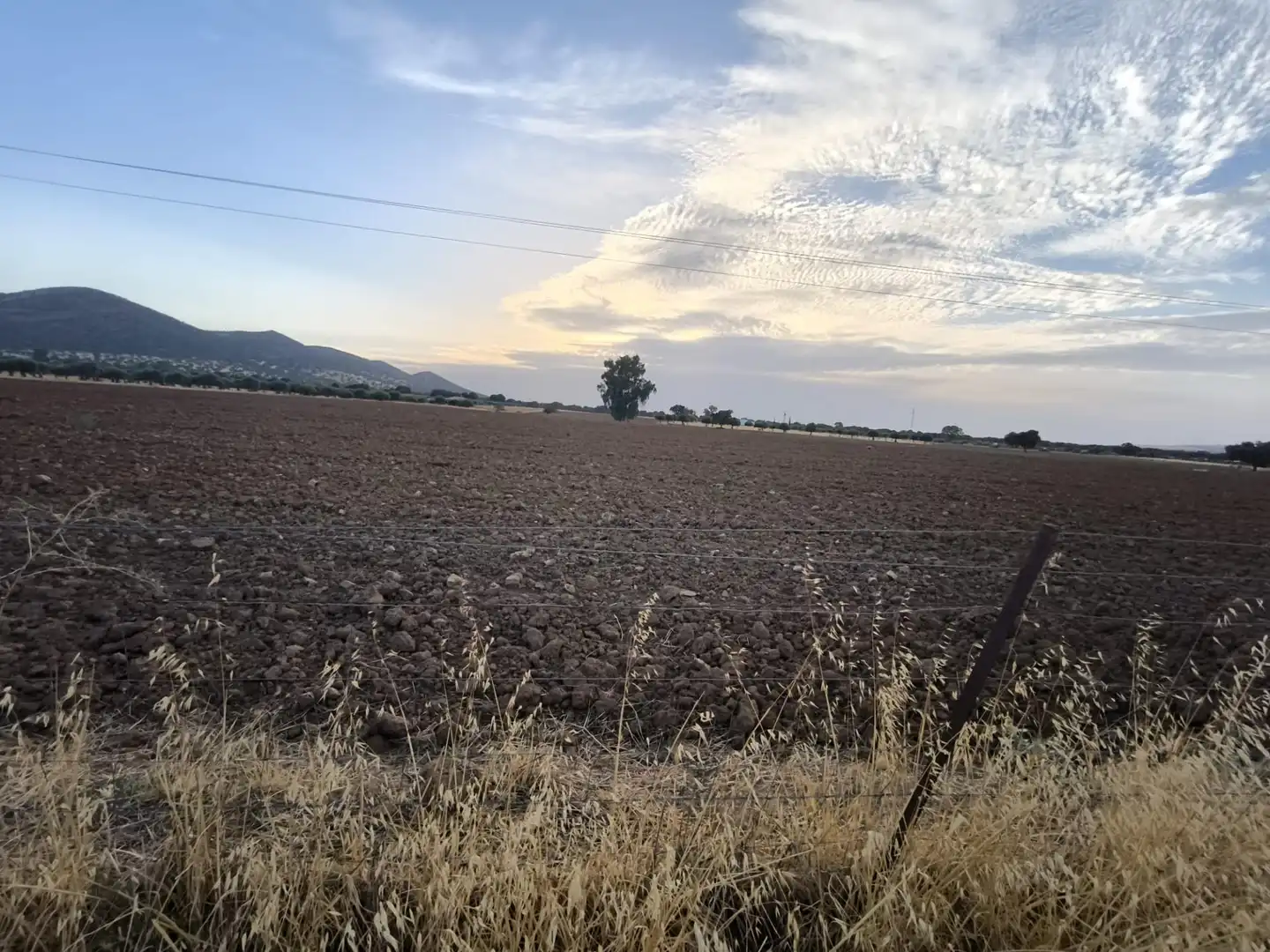 Finca rústica en venda en El Viso de San Juan