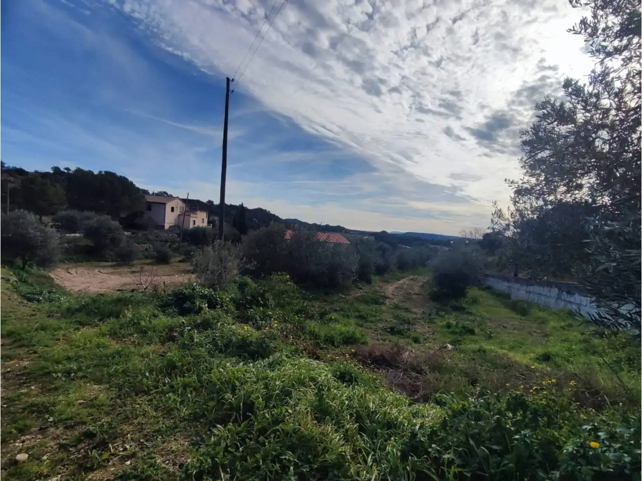 Industrial land for sale in Azlor