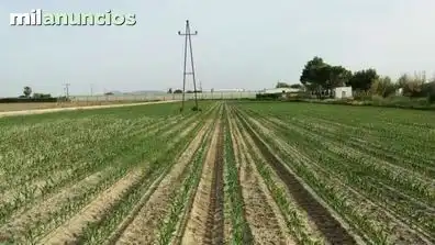 Terreni e lotti in vendita a Villanueva de la Serena