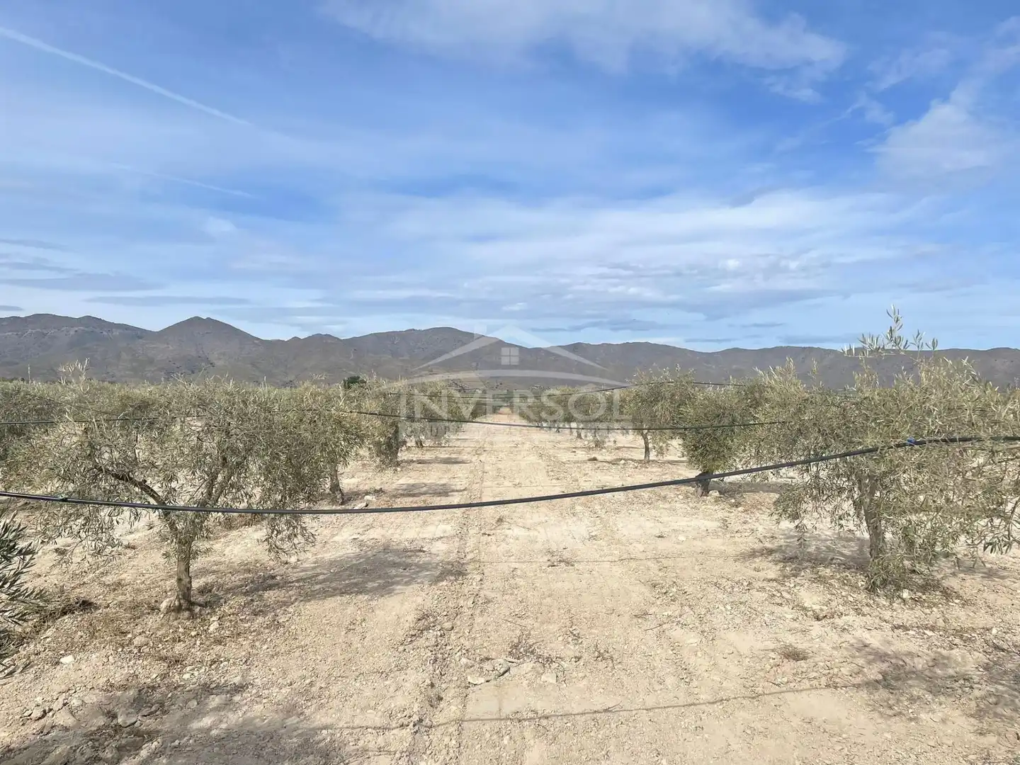 Terreno en venta en Uleila del Campo