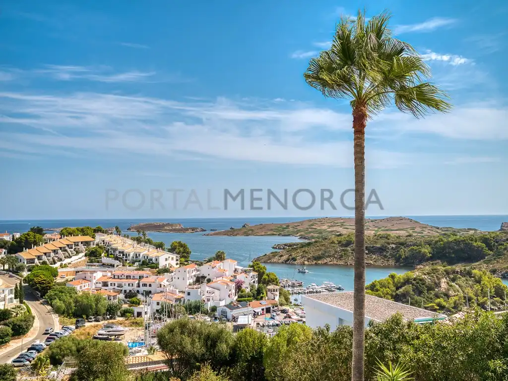Vista exterior de Casa o chalet en venta en Es Mercadal con Aire acondicionado, Calefacción y Jardín privado