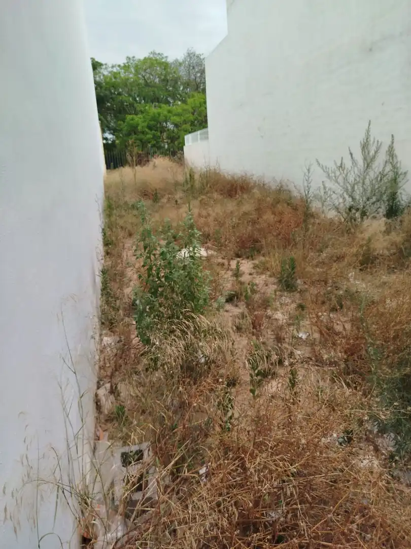 Rustikales Grundstück zum Verkauf in Avenida Avenida de la Albufera, 101, imagen 2