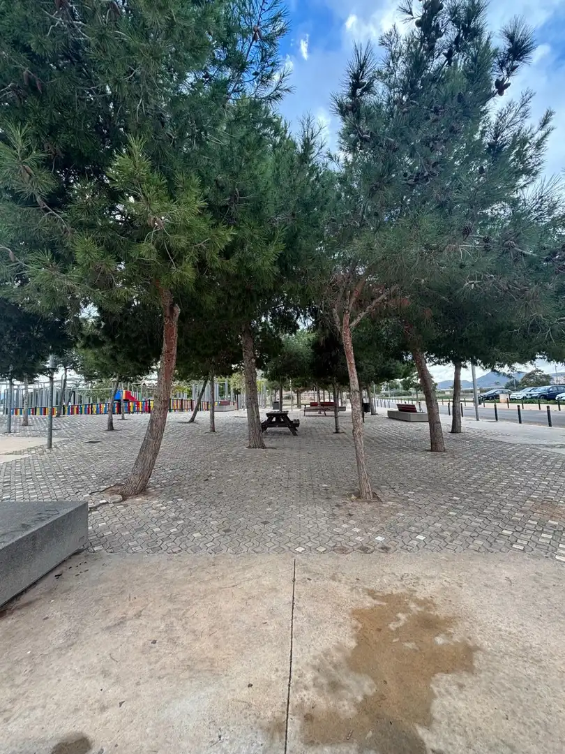 Parking de Casa o chalet en venta en Cartagena con Jardín privado, Terraza y Trastero