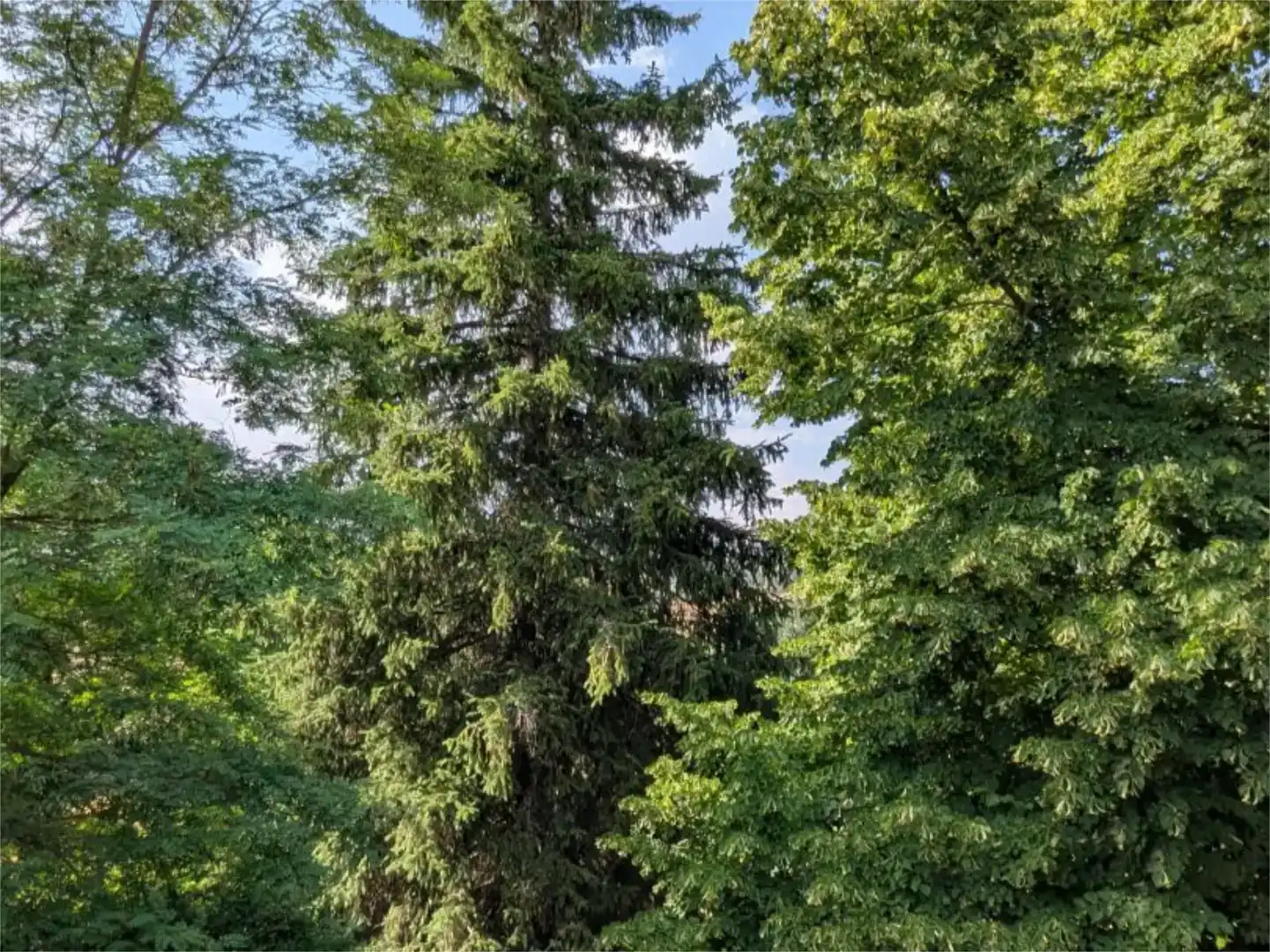 Vista exterior de Casa o xalet en venda en El Espinar amb Balcó