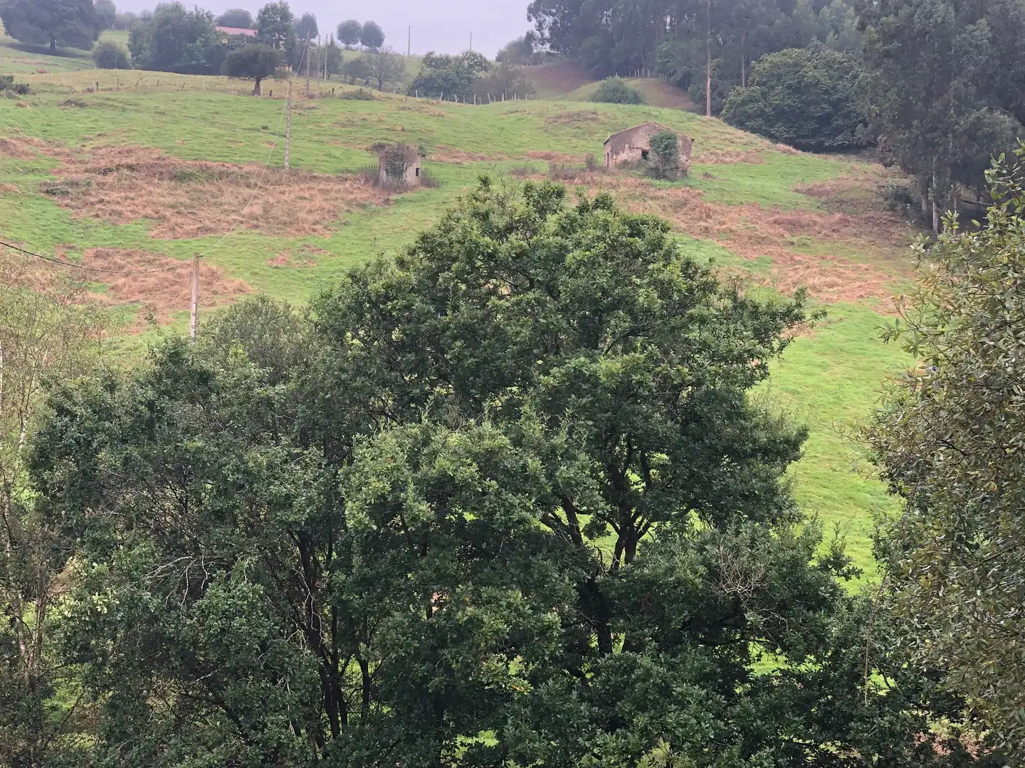 Casa o chalet en venta en Piélagos