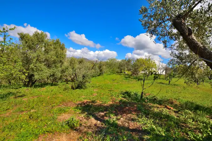 Country house zum Verkauf in Ronda mit Privatgarten