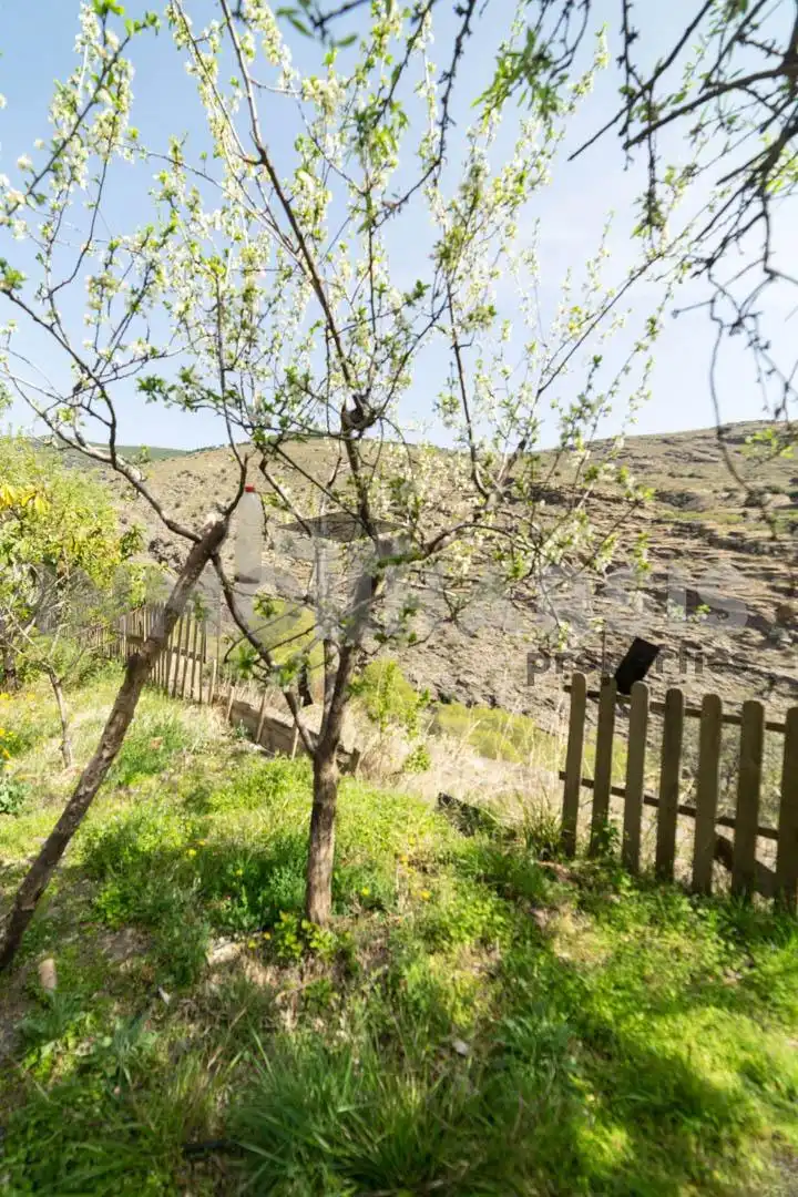 Casa o xalet en venda en Abrucena amb Jardí privat, Terrassa i Moblat