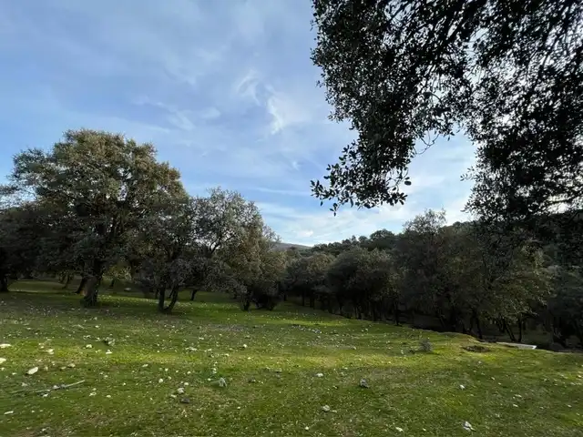 Terreno en venta en Almendral de la Cañada, Toledo