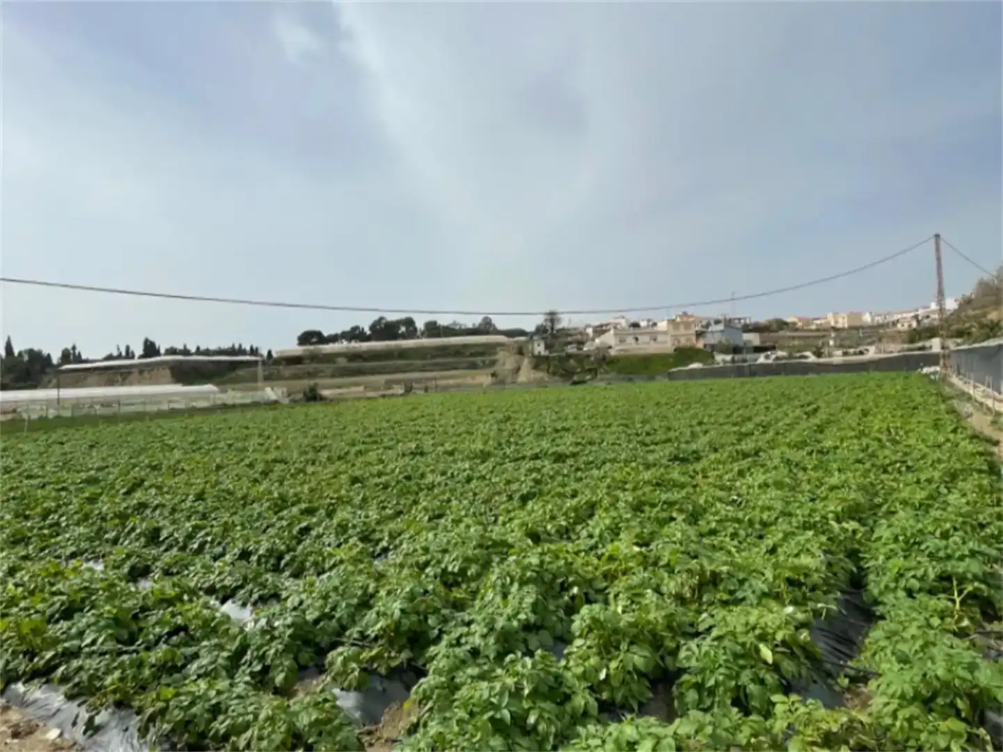 Finca rústica en venda en Algarrobo