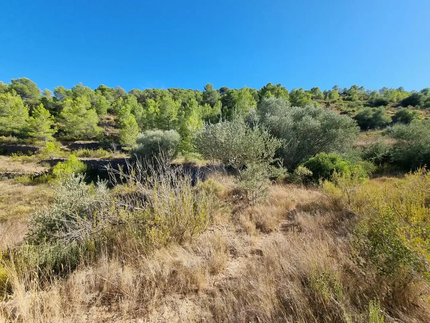 Lands and plots for sale in poligono 7 parcela 274, imagen 9