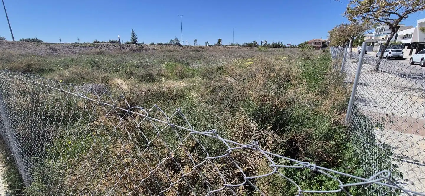 Lands and plots for sale in Elche ciudad, imagen 39