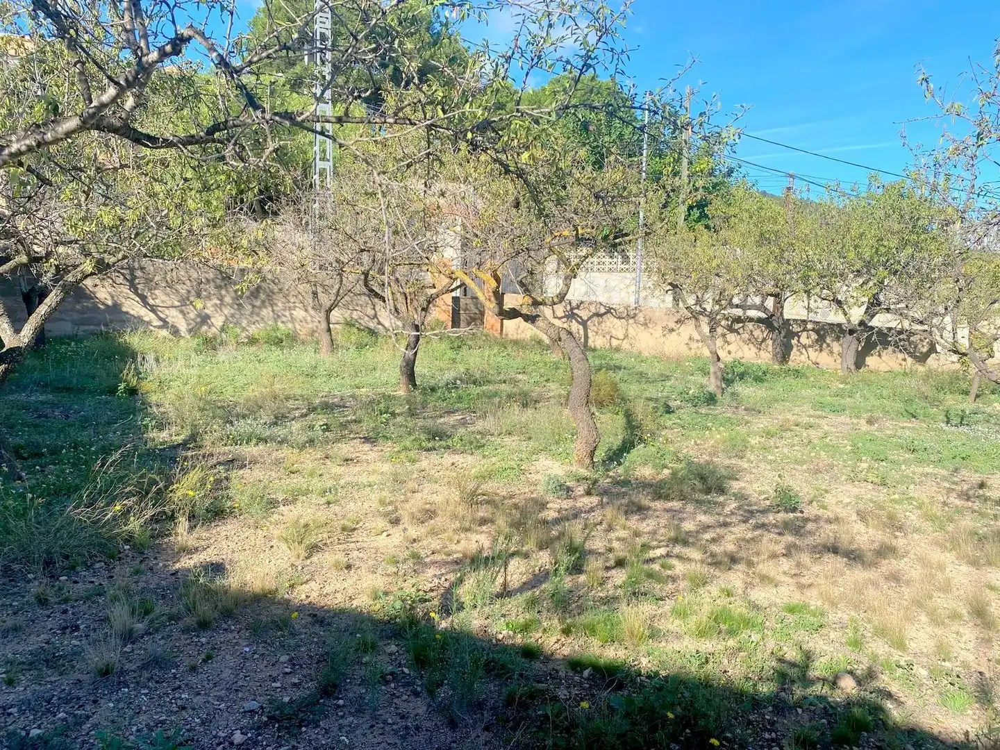 Casa con jardín en venta en La Font de la Figuera, imagen 23