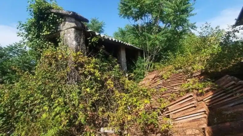 Habitatge amb jardí en venda a Covelo, imagen 11