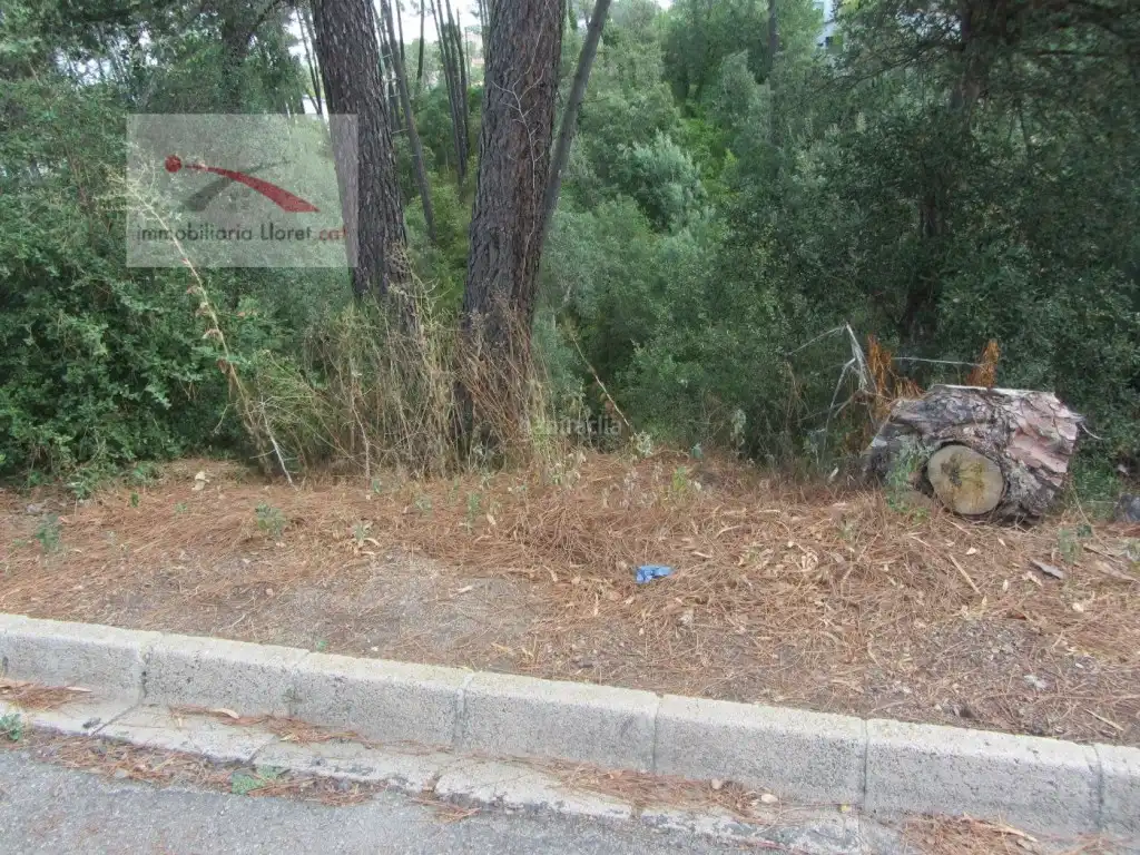 Terreny residencial en venda a Lloret Blau - La Creu de Lloret, imagen 7