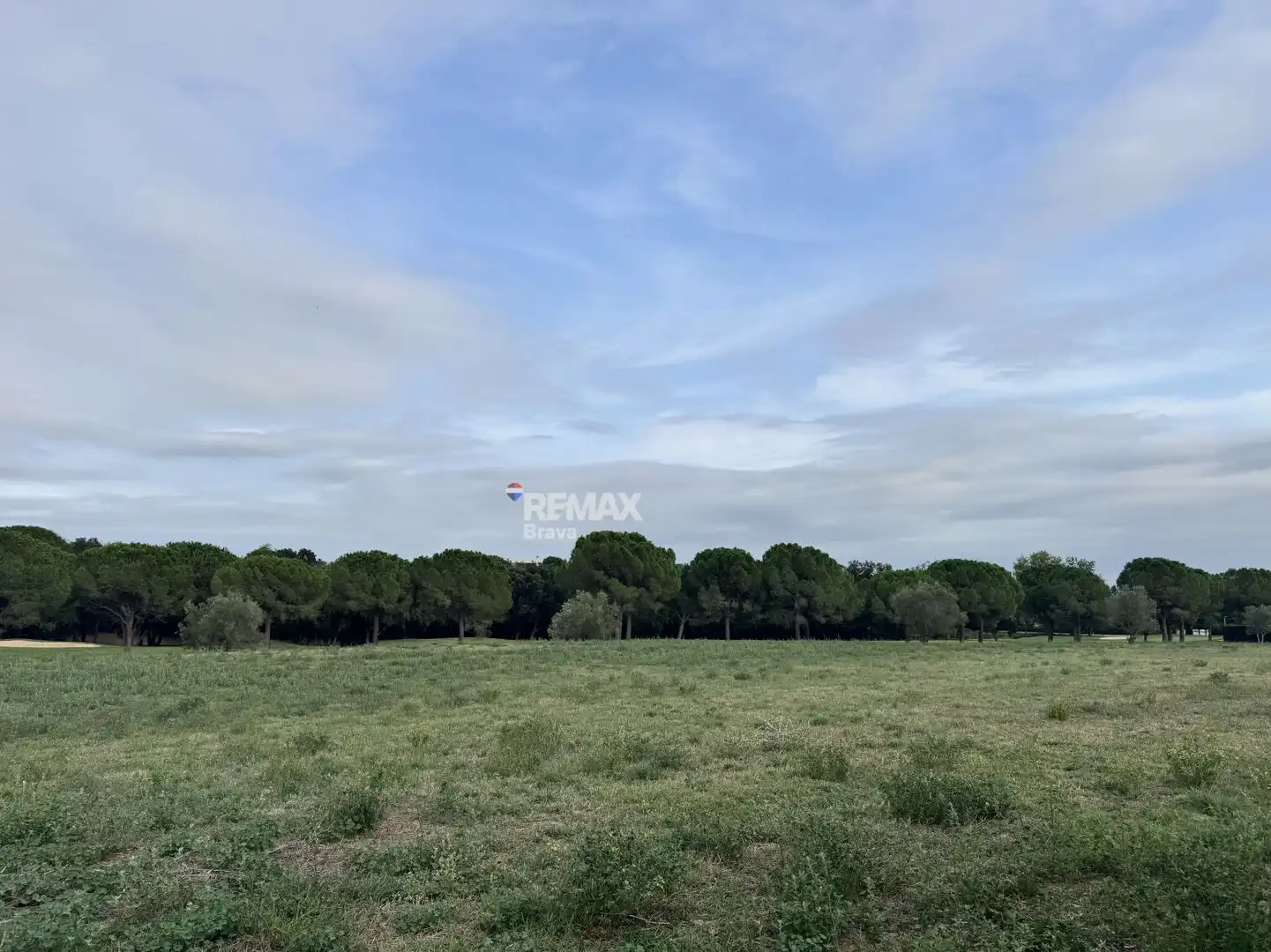 Lands and plots for sale in Calle CL FELIP L ARDIT, imagen 19