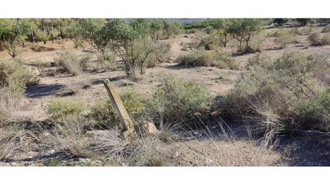 Terreno en venta en Isso, imagen 3