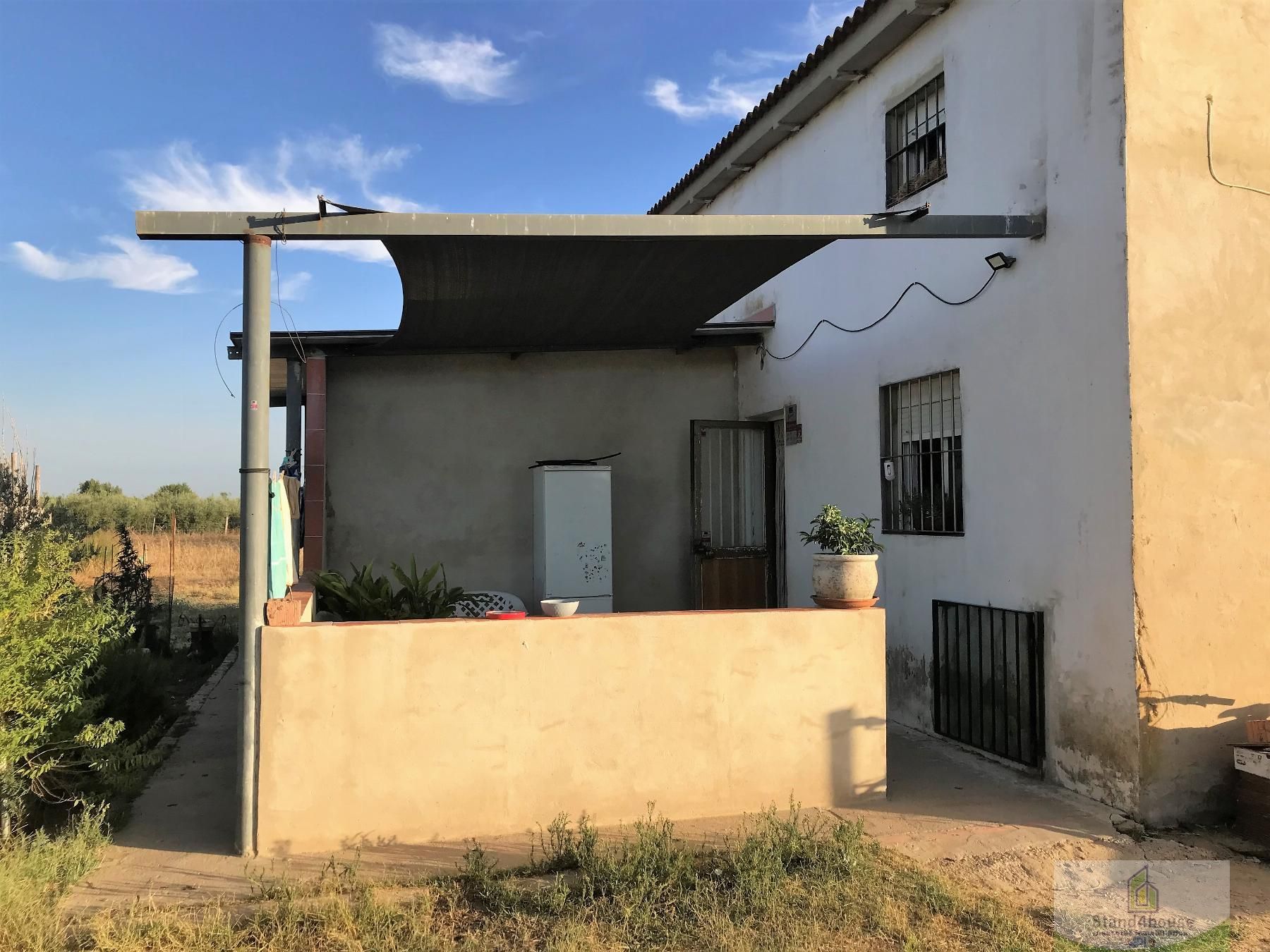 Vista exterior de Finca rústica en venda en Rociana del Condado